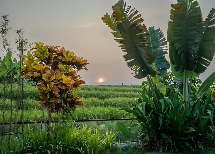 Pima - Sumptuous 2br Private Surrounded By Rice Fields In A Quiet Area ヴィラ
